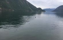 Zdjecia z wyjazdu do Bergen