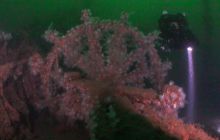 Zdjecia z wyjazdu do Bergen