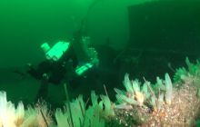 Zdjecia z wyjazdu do Bergen