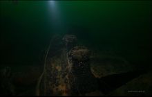 Nurkowanie Abilla, Kanonierka, Bryza