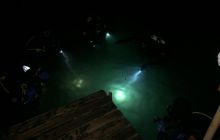 Zdjęcia ze szkolenia Nocne Nurkowanie