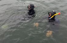 Zdjęcia ze spływu Chmielno