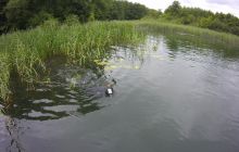 Zdjęcia ze spływu Chmielno