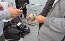 NURKOWANIE WRAKOWE TERRA + ŻAGLOWIEC ŁEBA 20 sierpnia 2016