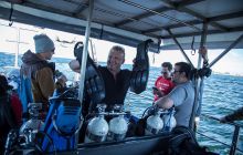 Zdjęcia z nurkowania na pełnym morzu