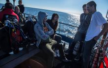 Zdjęcia z nurkowania na pełnym morzu