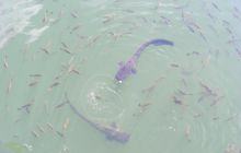 Zdjecia z wyprawa do ZONY na Ukrainie