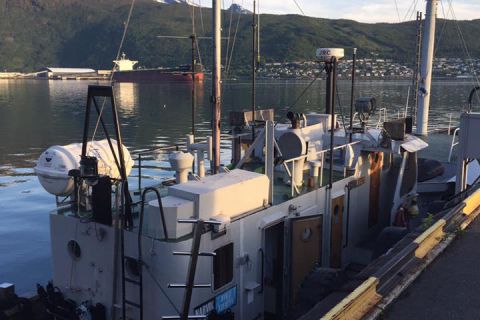 Nurkowanie wrakowe Narvik