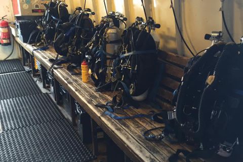 Nurkowanie wrakowe Narvik