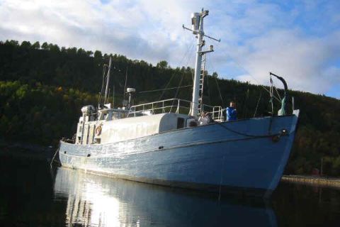 Nurkowanie wrakowe Narvik