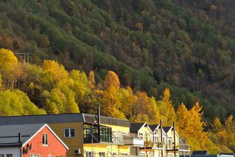 Nurkowanie wrakowe Narvik