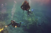 Zdjęcia z Safari St Johns Egipt