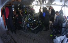 Zdjęcia z Safari St Johns Egipt