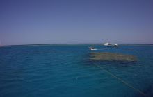 Zdjęcia z Safari St Johns Egipt