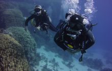 Zdjęcia z Safari St Johns Egipt