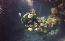 Zdjęcia z Safari St Johns Egipt