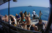 Zdjęcia z Safari St Johns Egipt