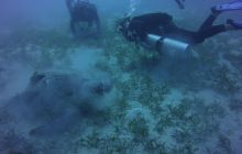 Zdjęcia z Safari St Johns Egipt