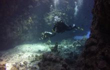 Zdjęcia z Safari St Johns Egipt