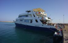 Zdjęcia z Safari St Johns Egipt