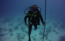 Zdjęcia z Safari St Johns Egipt