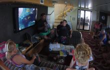 Zdjęcia z Safari St Johns Egipt