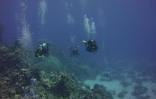 Zdjęcia z Safari St Johns Egipt