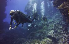 Zdjęcia z Safari St Johns Egipt