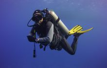 Zdjęcia z Safari St Johns Egipt