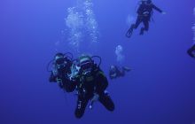 Zdjęcia z Safari St Johns Egipt