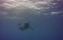 Zdjęcia z Safari St Johns Egipt