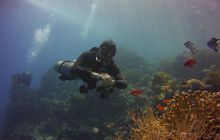 Zdjęcia z Safari St Johns Egipt