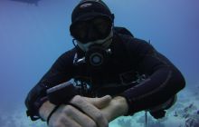 Zdjęcia z Safari St Johns Egipt