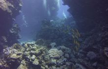 Zdjęcia z Safari St Johns Egipt