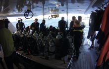 Zdjęcia z Safari St Johns Egipt