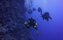 Zdjęcia z Safari St Johns Egipt