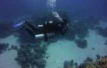 Zdjęcia z Safari St Johns Egipt