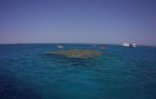 Zdjęcia z Safari St Johns Egipt