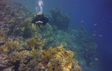 Zdjęcia z Safari St Johns Egipt