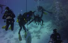 Zdjęcia z Safari St Johns Egipt