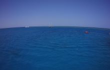 Zdjęcia z Safari St Johns Egipt