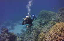 Zdjęcia z Safari St Johns Egipt