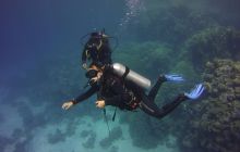 Zdjęcia z Safari St Johns Egipt