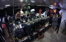 Zdjęcia z Safari St Johns Egipt