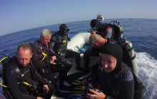 Zdjęcia z Safari St Johns Egipt