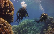 Zdjęcia z Safari St Johns Egipt