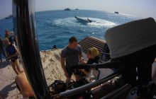 Zdjęcia z Safari St Johns Egipt