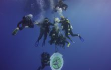 Zdjęcia z Safari St Johns Egipt