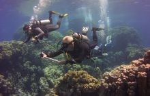 Zdjęcia z Safari St Johns Egipt