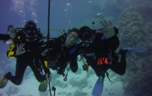 Zdjęcia z Safari St Johns Egipt